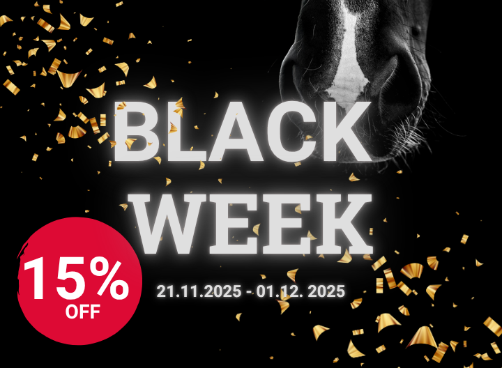 DERBY Banner startseite Black Week